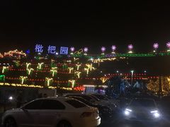 -枇杷园食为鲜火锅(南山店)