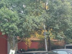 -南岳衡山风景名胜区-南岳大庙