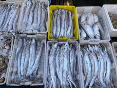 -芦潮港集贸市场