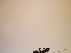 -BLACKSWAN黑天鹅(环球店)