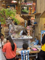 -卡通尼·Safari非洲探索乐园·生日会(金桥国际商业广场店)