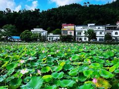 -红山村