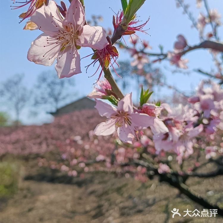 趁着蓝天去就对了