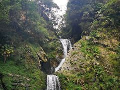 -石台牯牛降景区