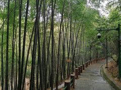 -敬亭山风景名胜区