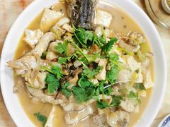 红烧狗鱼-煲来饱去冷水鱼