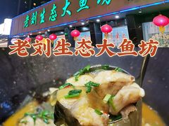 -老刘生态大鱼坊铁锅炖鱼(赛马场店)