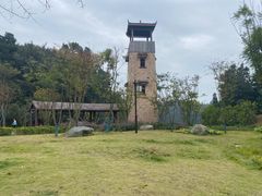 -铁山坪森林公园