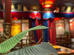 -蜀江龙火锅(339店)