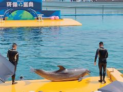 -秦皇岛乐岛海洋王国