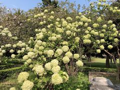 -南通博物苑-崇川人民公园