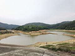 -东莞市大岭山森林公园