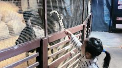 -酷嗒动物文化乐园(cutezoo西溪乐天城店)