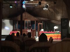 魔术表演-蓝色美人蕉岛