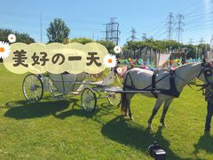 -蓝地时尚庄园(北京清河营地铁站店)