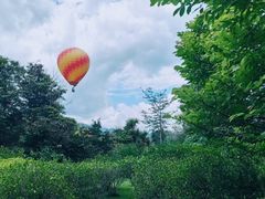 -中国科学院西双版纳热带植物园