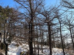 -泰山风景名胜区