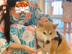 -柴犬小屋·柴餐厅·狗咖食堂(金鼎广场店)