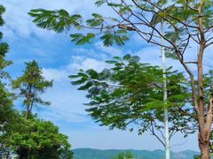 -火炉山森林公园
