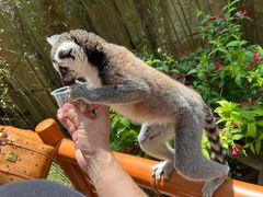 -北京野生动物园