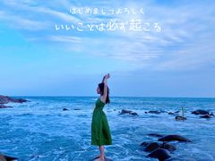 -广东惠东海龟国家级自然保护区