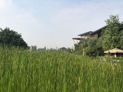 -成都华侨城欢乐里