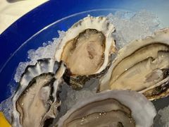 -香港喜来登酒店蚝酒吧