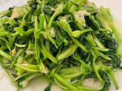 鸡毛菜豆米炒油皮-冶春茶社(官园桥店)