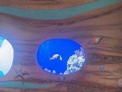 -广州海洋馆