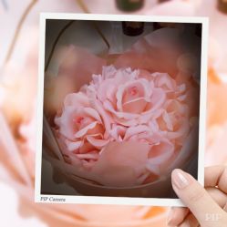 -SCENT BOUTIQUE