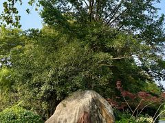 -新荣记(西溪湿地店)