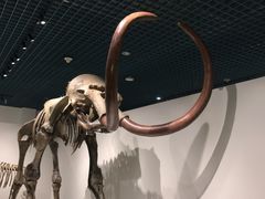 -大连自然博物馆·地球展厅