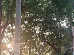 -金湖港式餐厅(建外店)