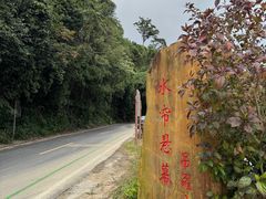 -海南热带雨林国家公园吊罗山景区