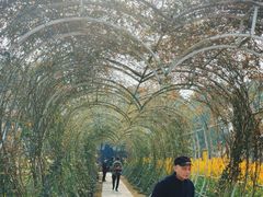 -洪湖家庭农场·团建·露营·会议