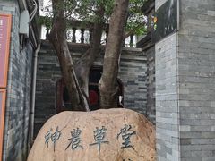 -广州神农草堂中医药博物馆