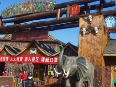 -呀路古热带植物园