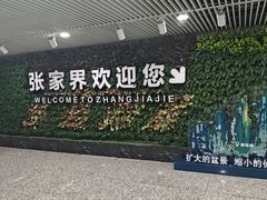 -张家界荷花国际机场