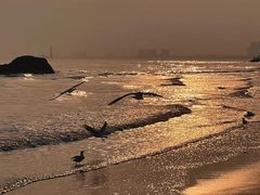 -老虎石海上公园