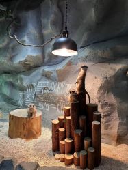 -Zoolung Zoolung动物主题公园(海信广场店)