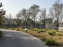 -东郊湿地公园