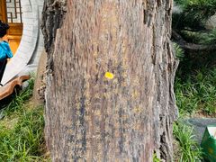 -湘子庙