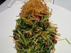巧拌豆苗-四季民福烤鸭店(王府井灯市口店)