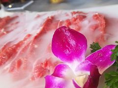 -领鲜潮牛鲜牛羊肉火锅(宏昌店)