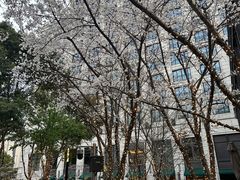 -百美汇影城(LUXE嘉里中心店)