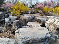 -大兴滨河森林公园