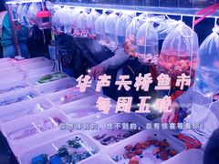 -华声天桥民俗文化园