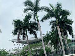 -广州白云机场雅高铂尔曼大酒店