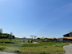 -宁波杭州湾国家湿地公园