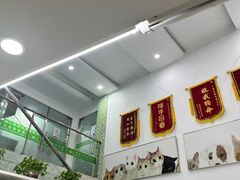 -爱侣宠医·鹦鹉专科·小型哺乳类·异宠专科(灵石路店)